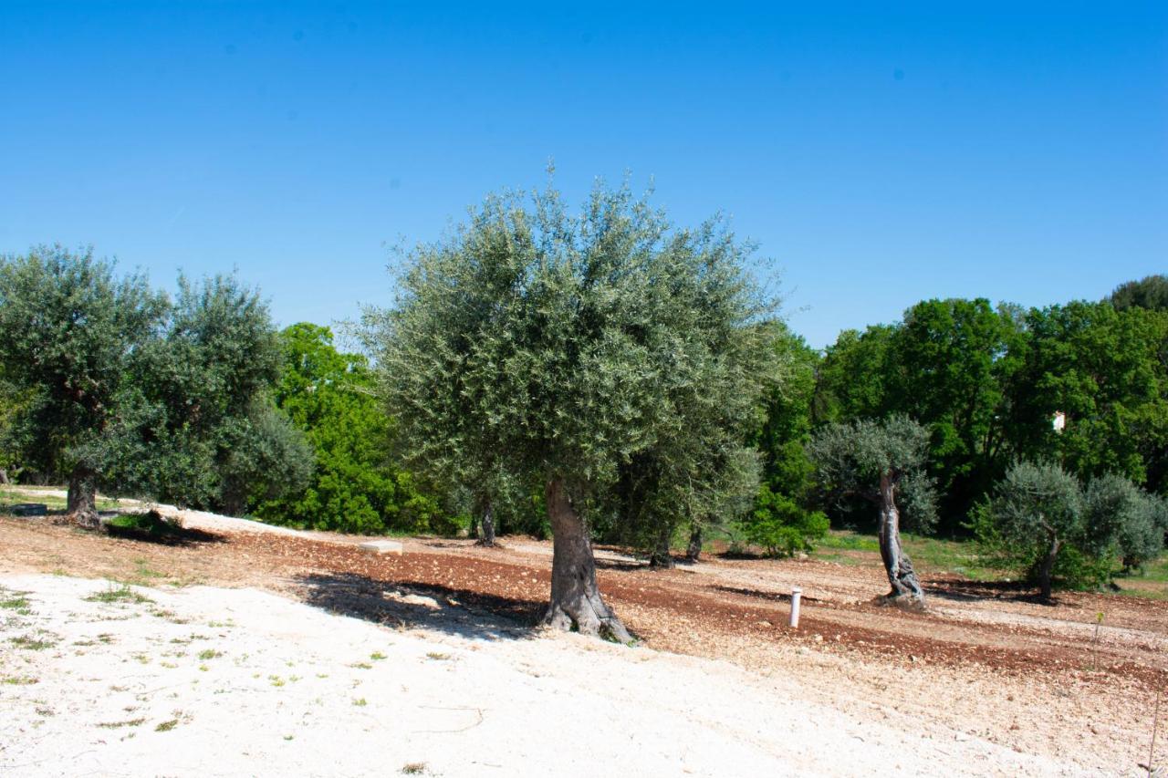 Casale Dello Zio, Private Pool By Il Pumo Di Puglia Villa Castellana Grotte Dış mekan fotoğraf